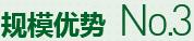 購(gòu)買(mǎi)蔬菜種子，鼎牌優(yōu)勢(shì)三