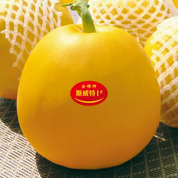 薄皮甜瓜，哪個(gè)品種最好呢？畝產(chǎn)高達(dá)10萬(wàn)，附4種市場(chǎng)爆款品種