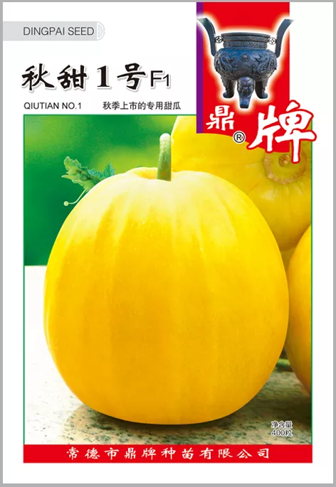 高溫季節(jié)種植甜瓜，什么品種最好？這個(gè)品種是秋季上市的專用品種