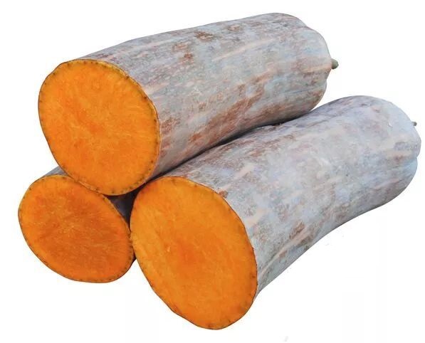 生吃都好吃南瓜新品種，沒有大肚子，肉質(zhì)更密致，農(nóng)戶試種下
