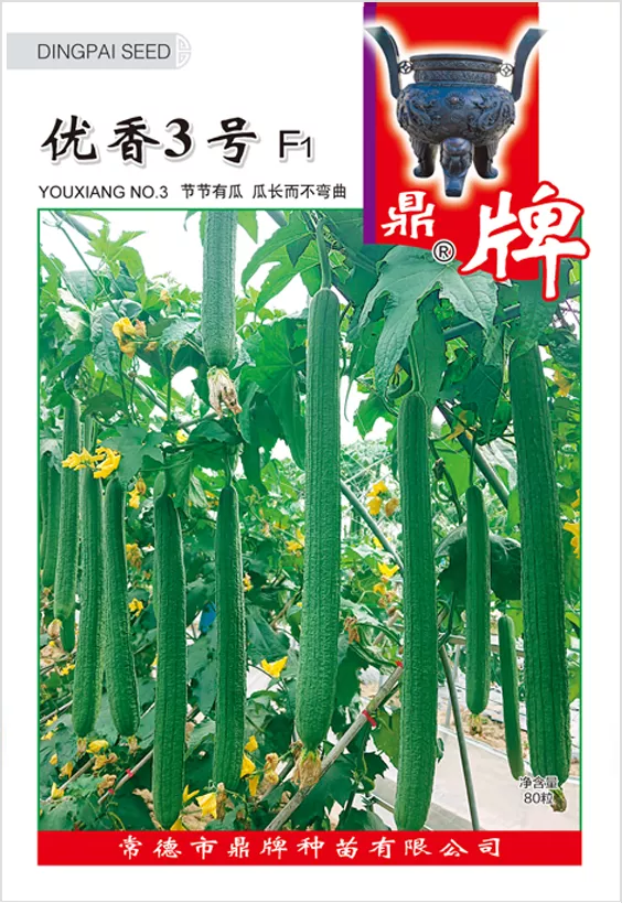 它是絲瓜種植戶的新選擇，節(jié)節(jié)有瓜，瓜長(zhǎng)而不彎曲