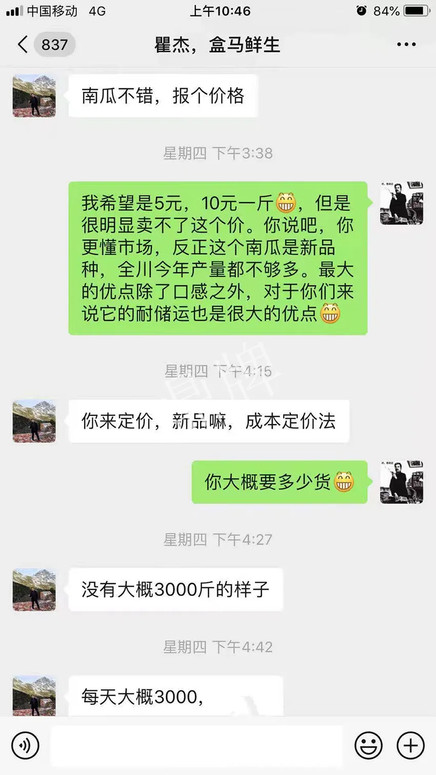 四川農(nóng)戶今年種“健美蜜本”南瓜產(chǎn)量高，品質(zhì)好，感覺(jué)巴適得很